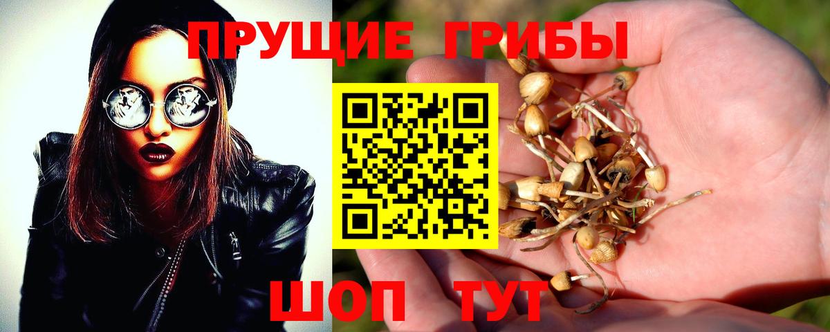 Галлюциногенные грибы прущие грибы  Вход с VPN  как найти закладки  Калининград  Галлюциногенные грибы Magic Shrooms 
